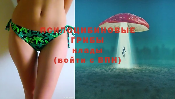 дживик Туринск