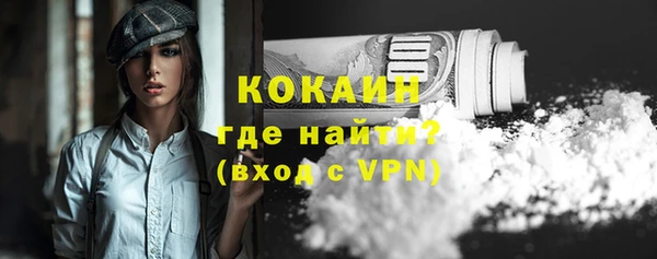 PSILOCYBIN Вяземский