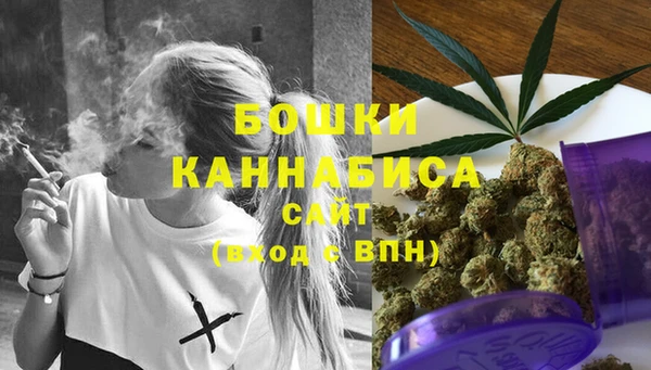 мдпв Вязьма