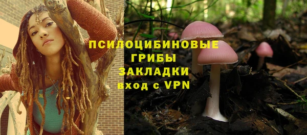 мдпв Вязьма