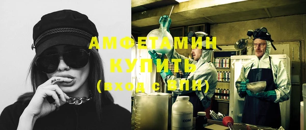мдпв Вязьма